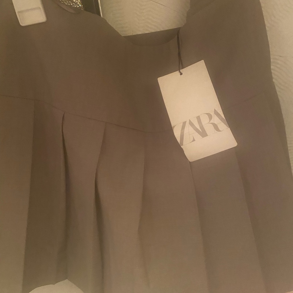 NWT Zara gray pleated skirt